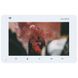 Slinex SM-07N Cloud white Відеодомофон 655 фото 1