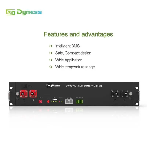 Акумулятор DYNESS B4850 LiFePO4 48V/50AH (2400W*h) (літій-залізо-фосфатний акумулятор для ДБЖ (UPS)) 943 фото